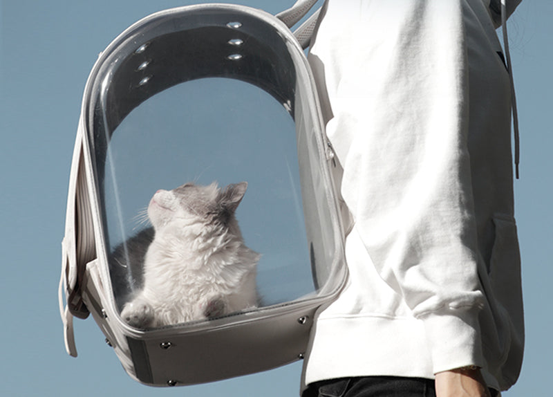 Breathable Motorcycle Pet Carrier with Sun Protection