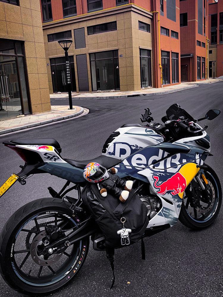 Motorcycle Buddy Helmet Bear